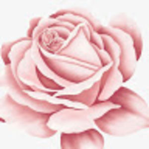 Meet your Posher, Sophia